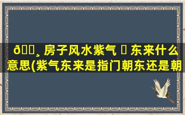🕸 房子风水紫气 ☘ 东来什么意思(紫气东来是指门朝东还是朝西)